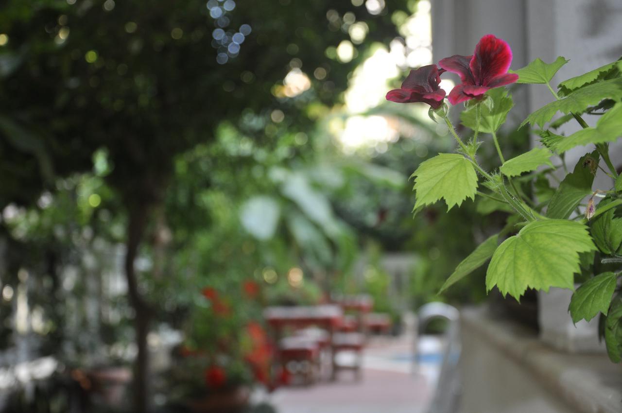 Hotel Villa Casablanca Bahtili Exteriér fotografie